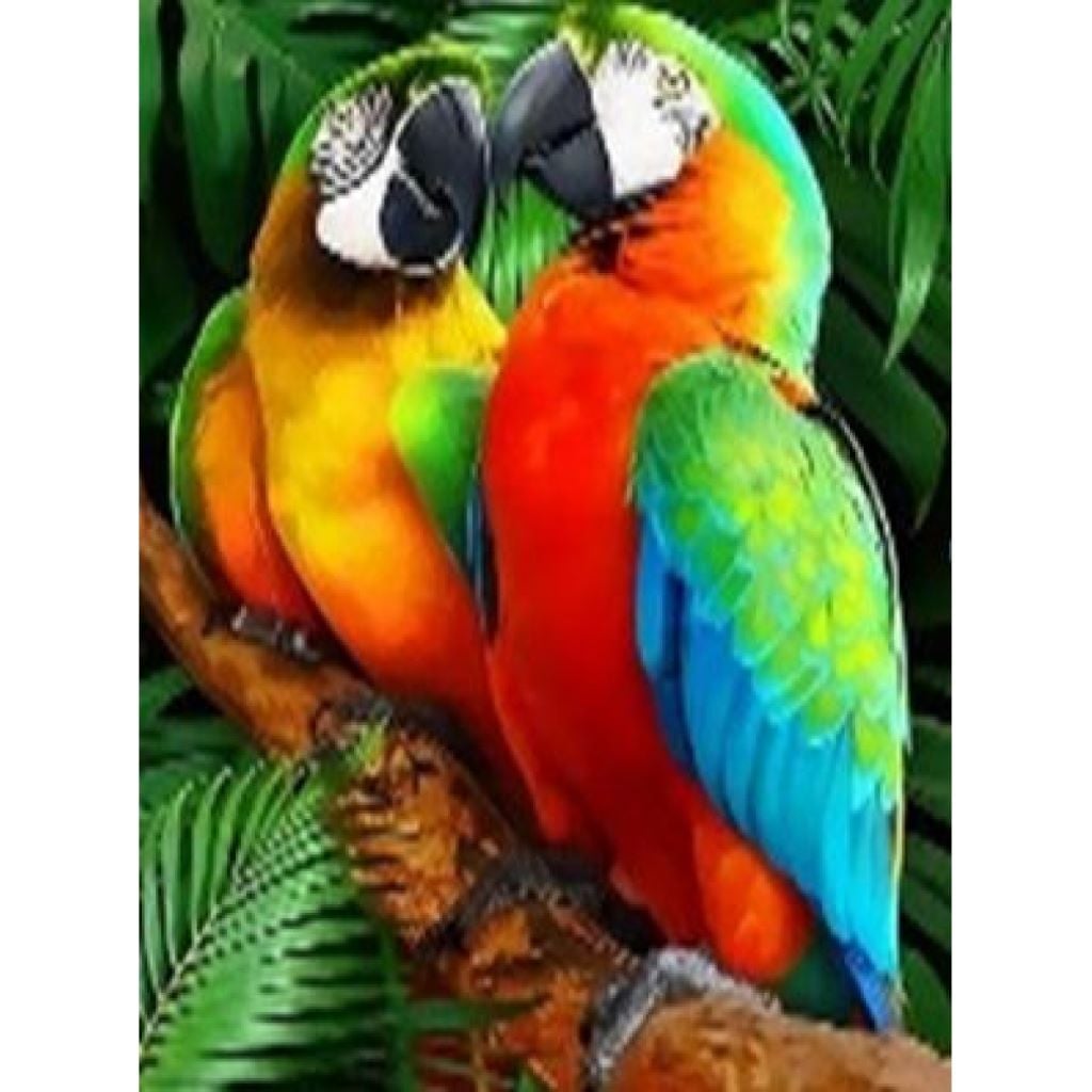 Алмазна мозаїка Папуги 40*50см на підрамнику у коробці GLE71614 Josefotten