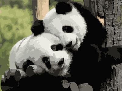 Картина по номерах 40*50 см Панда Інь-Янь фарби пензлі в термоплівці  11606-AC Art Craft