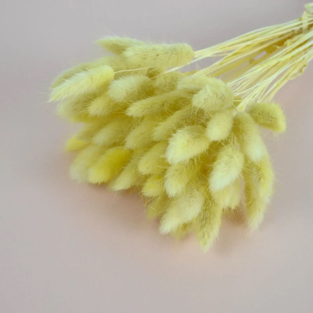 Лагрус 30см мікс кольорів 10262 Україна