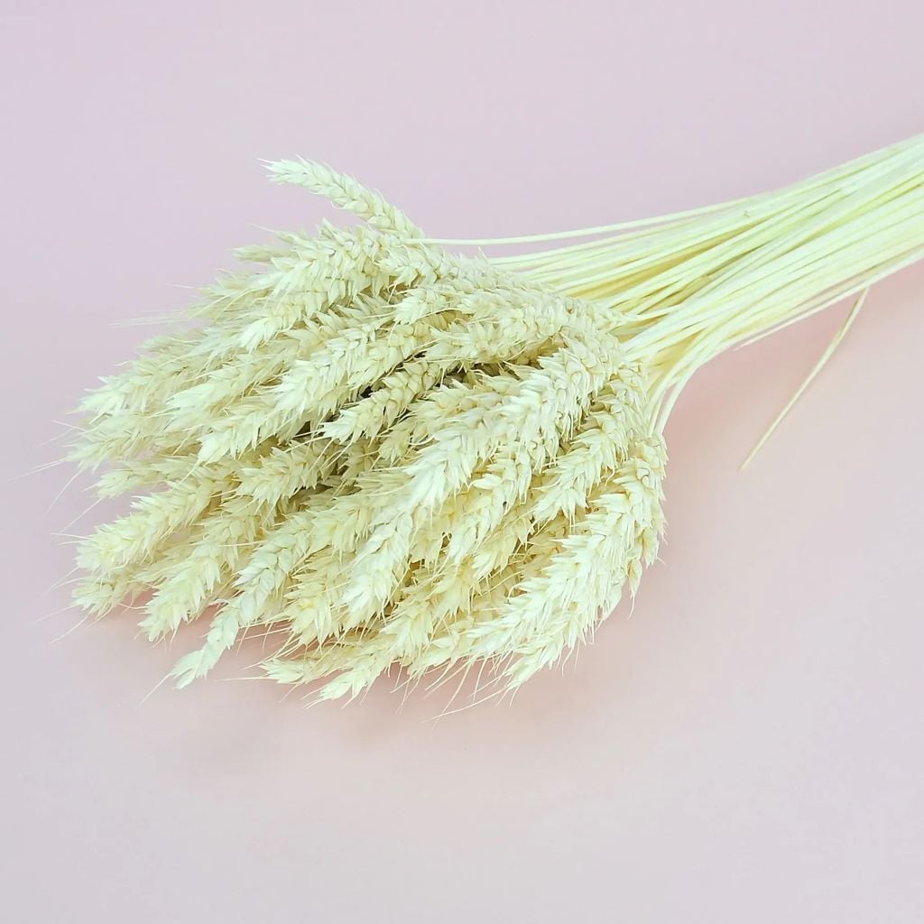 Пшениця 55см мікс кольорів 10244 Україна