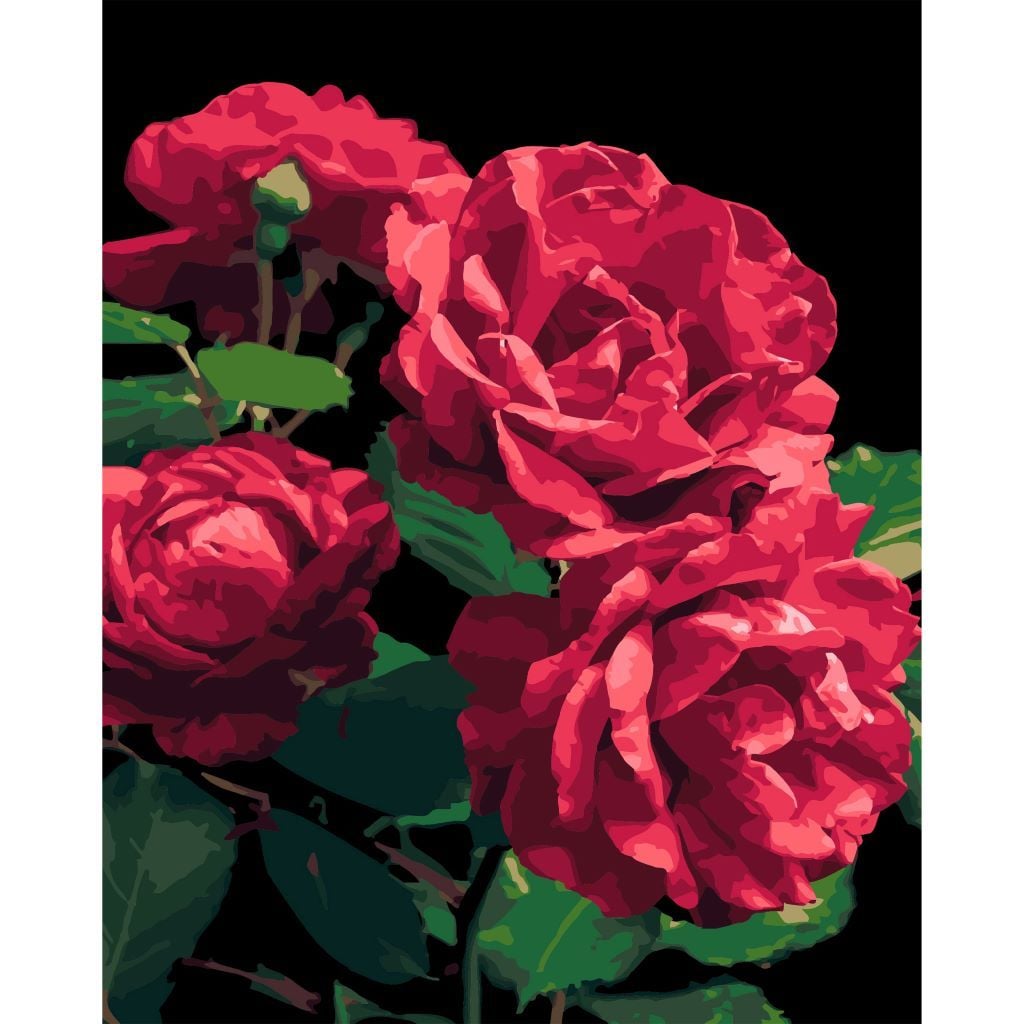 Картина по номерам 40*50см Троянди на чорному фоні у термоплівці АН1187-18 Strateg