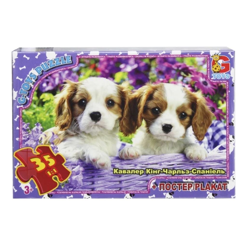 Пазли 35ел Домашні улюбленціі Цуценята+постер в коробці 20*13см AN143 G-Toys