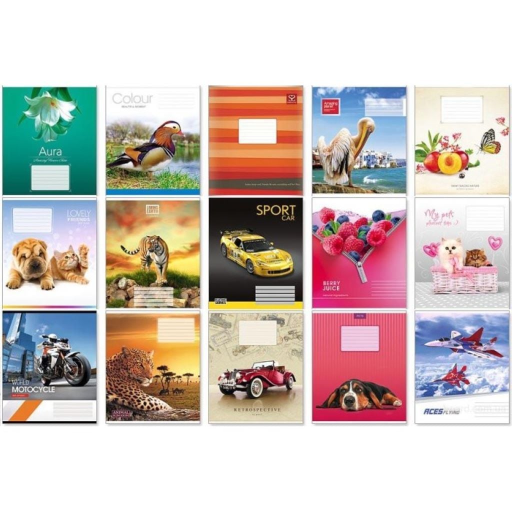 Зошит 48арк клітинка А5 тверда обкладинка з малюнком мікс видів ТВ-14 Бріск